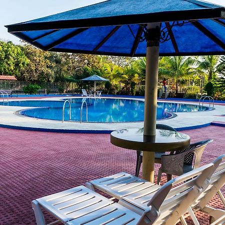 Amidhara Resort Gírský les Exteriér fotografie